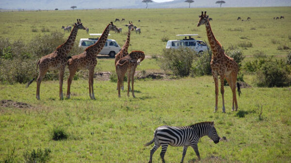 kenya tourism revenue 2022