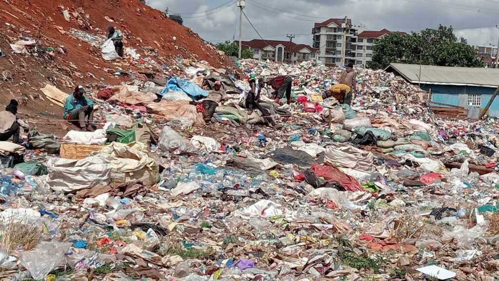 Looming health crisis as garbage cartels convert public roads Into