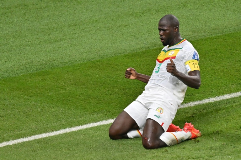 Heroic Senegal Players Pay Tribute to the Late Papa Diop After Reaching  World Cup Round of 16