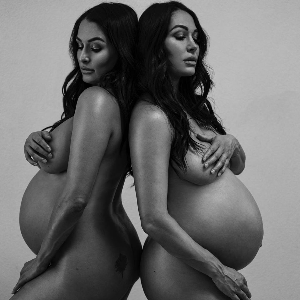 Bella Twins Xxx Porn - The Bella Twins introduce their sons to the world - The Sauce